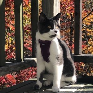 Meet your Posher, Jean-pascal